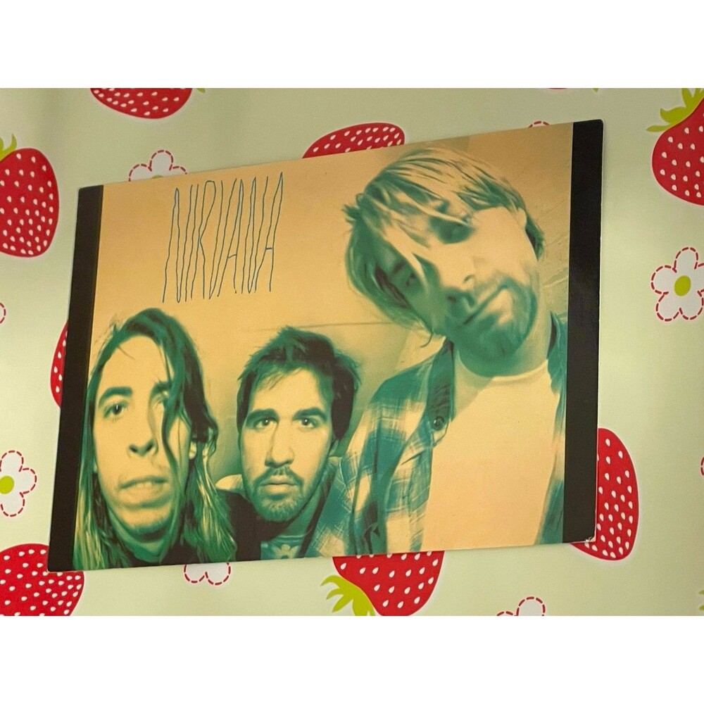 Nirvana Dragonfly Poster by Posters International Ltd - Rock & Pop Music
